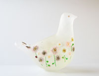 Profile - Asuka Ishikawa /ガラス作家 石川あすか Website